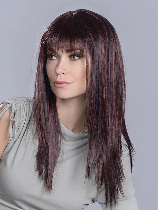 Cher | Hair Power by Ellen Wille